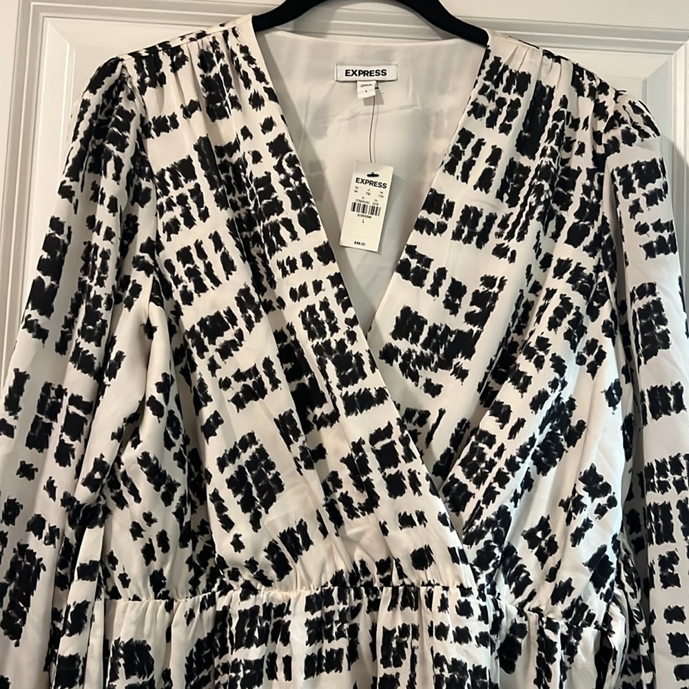 Express Dress - Picture 4 of 7